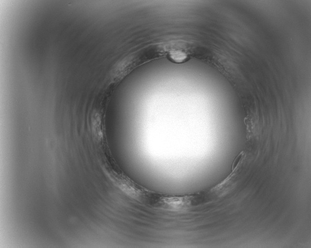 X0000054430187200508051842