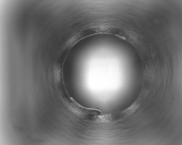 X0000054430188200508051842