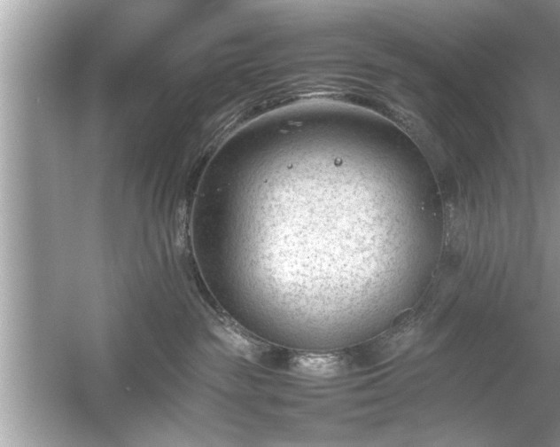 X0000054430189200508051842