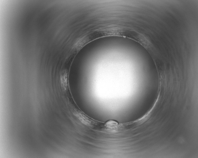 X0000054430190200508051842