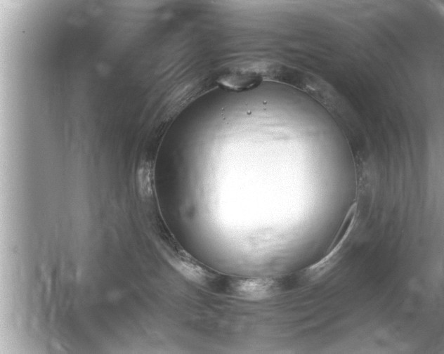 X0000054430191200508051842