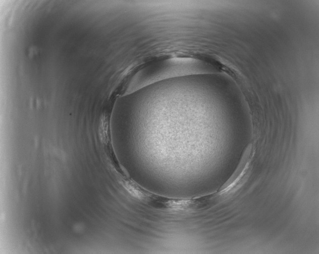 X0000054430192200508051842