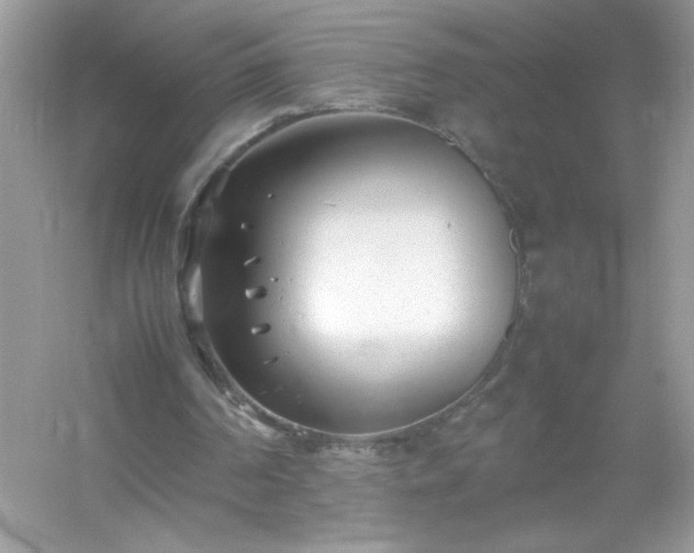 X0000054430194200508051841