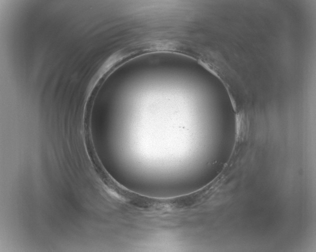 X0000054430195200508051841