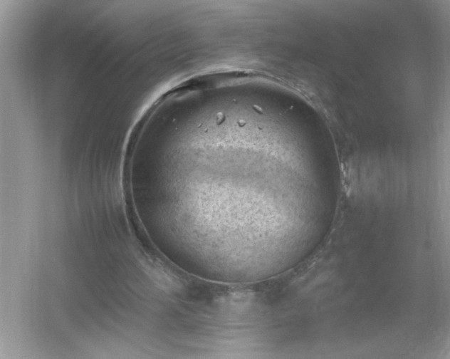 X0000054430196200508051841