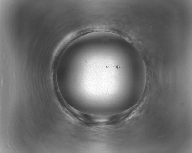 X0000054430197200508051841