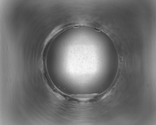 X0000054430198200508051841