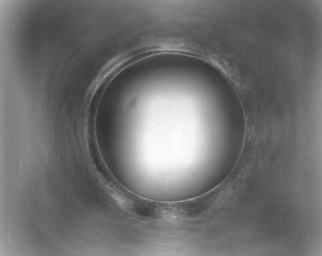 X0000054430199200508051841