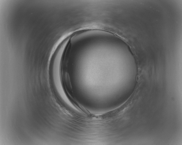 X0000054430200200508051841