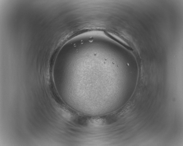 X0000054430202200508051841