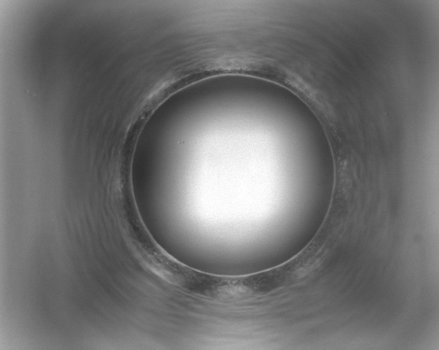 X0000054430203200508051841