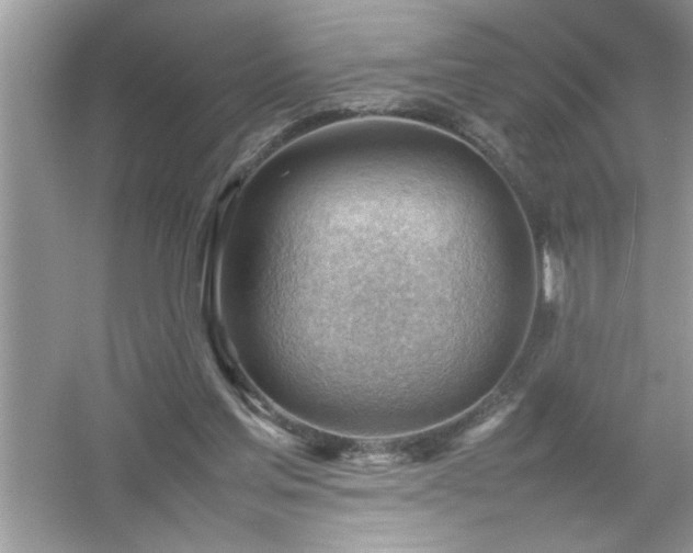 X0000054430205200508051841