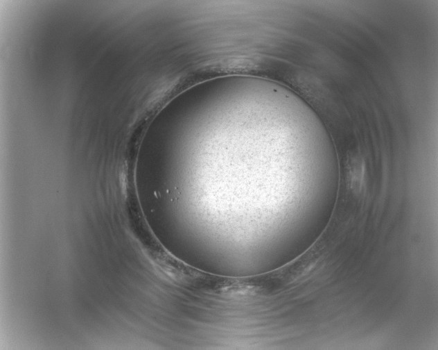 X0000054430206200508051841