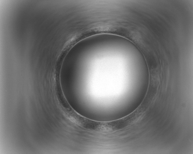 X0000054430207200508051841