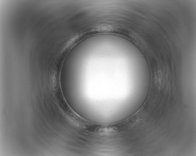 X0000054430208200508051841