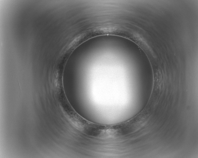 X0000054430212200508051841