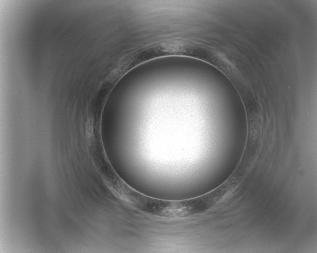 X0000054430213200508051841