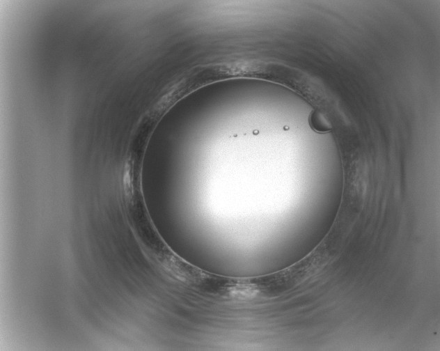 X0000054430214200508051841