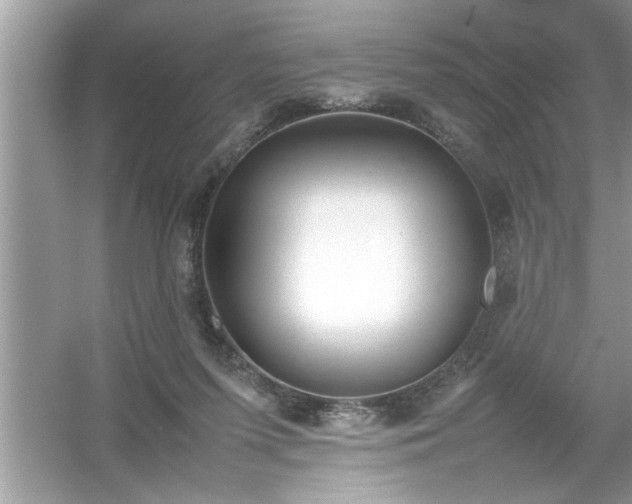 X0000054430215200508051841