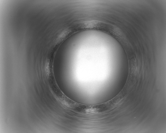 X0000054430216200508051841