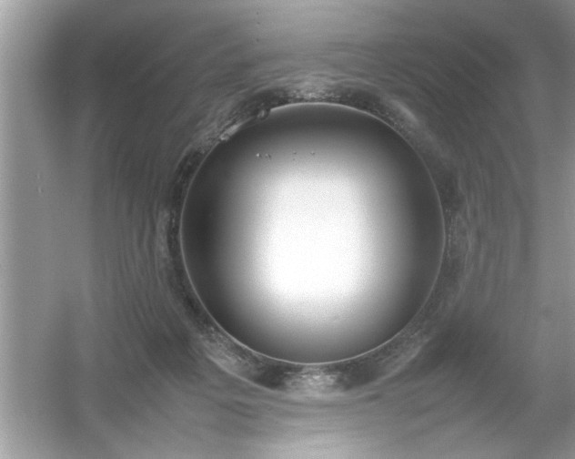 X0000054430217200508051841