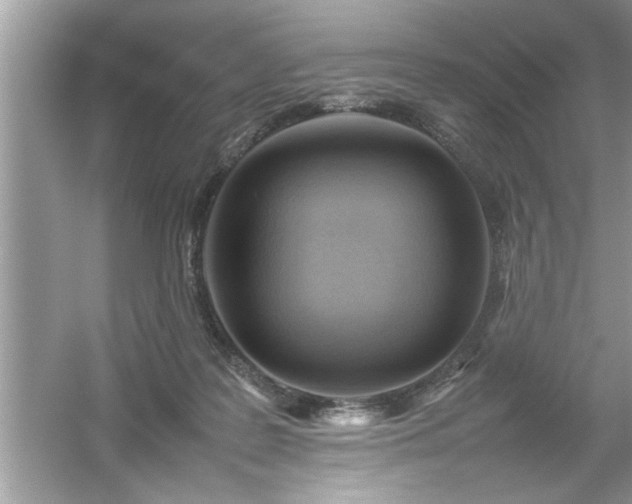 X0000054430219200508051841