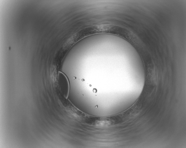 X0000054430220200508051841