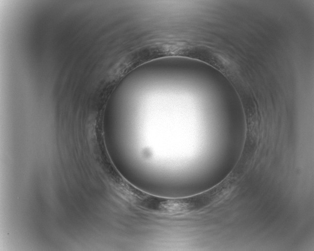 X0000054430221200508051841