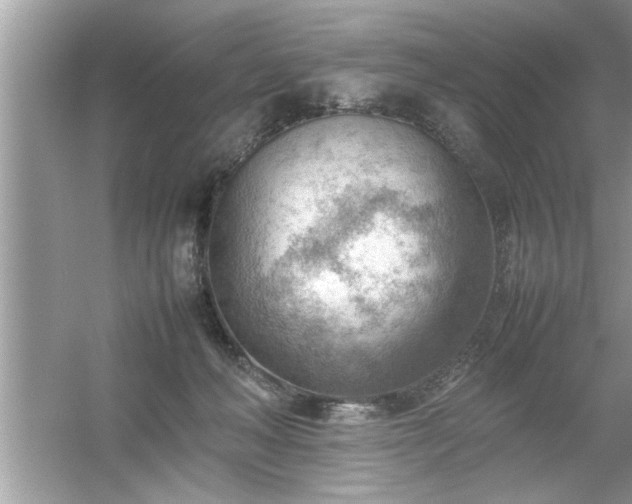 X0000054430222200508051841