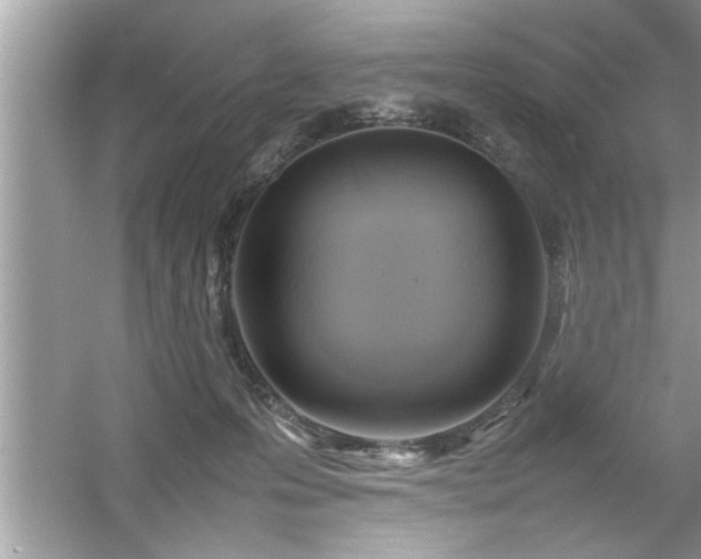 X0000054430223200508051841