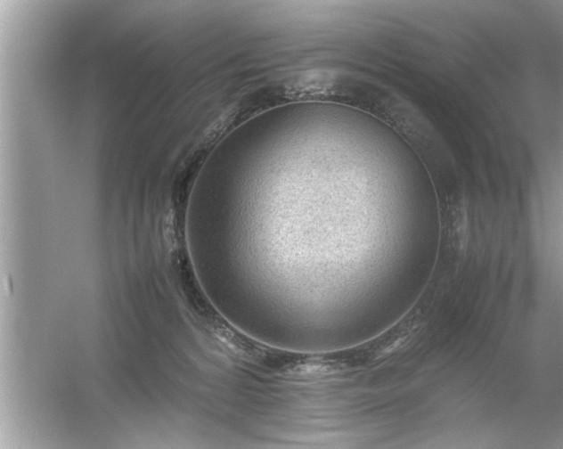 X0000054430224200508051841