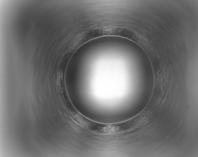 X0000054430225200508051841