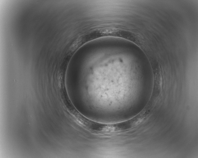 X0000054430227200508051841