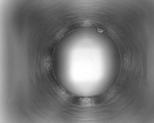 X0000054430230200508051841