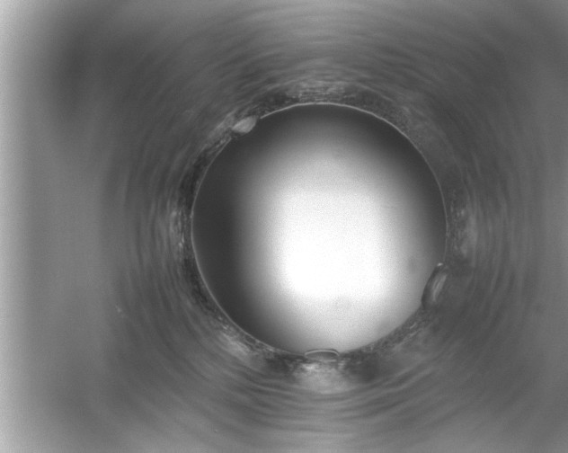 X0000054430232200508051841