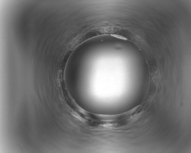 X0000054430233200508051841