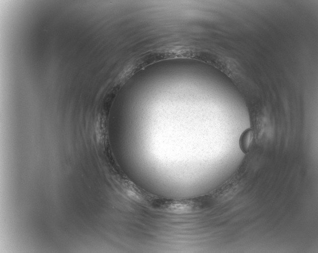 X0000054430236200508051841