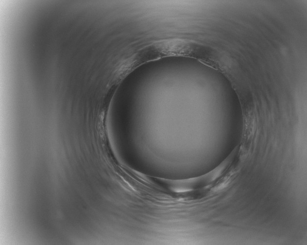 X0000054430239200508051841