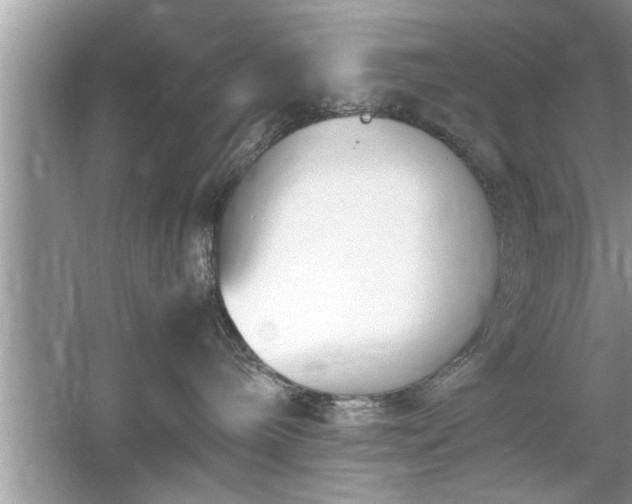 X0000054430240200508051841