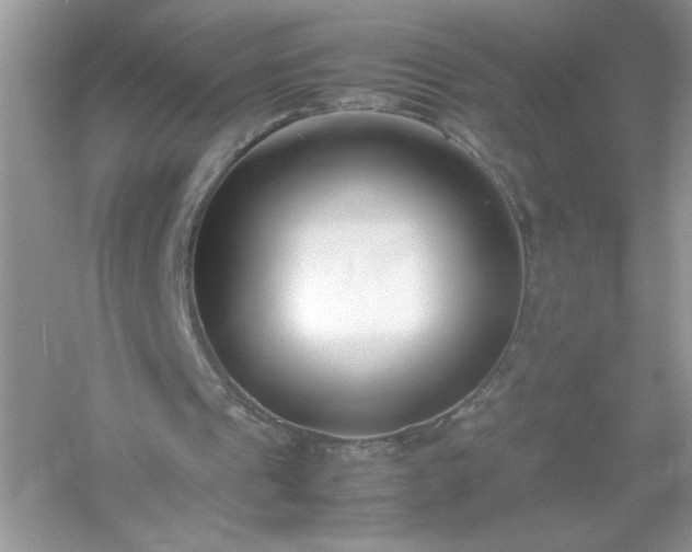 X0000054430241200508051840