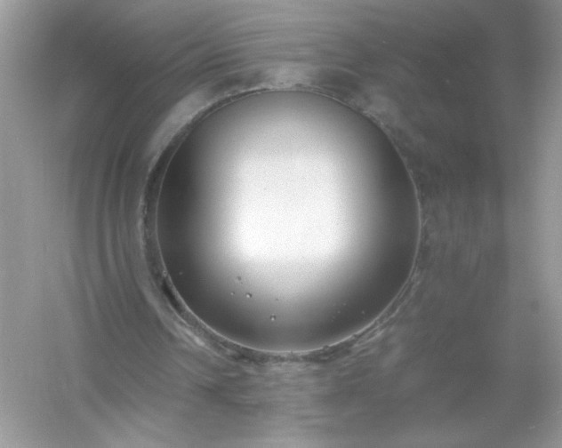 X0000054430242200508051840