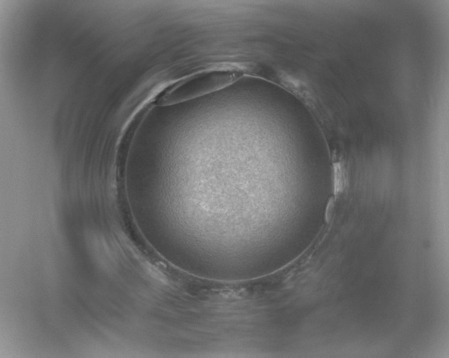 X0000054430243200508051840