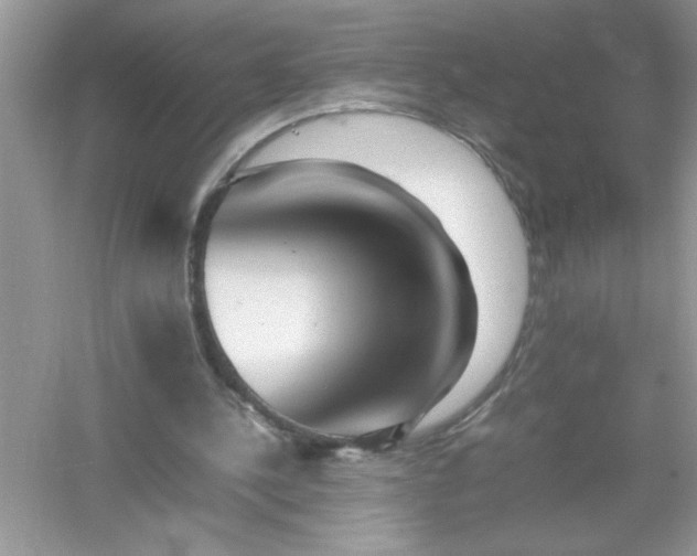 X0000054430244200508051840