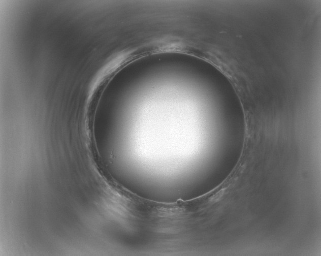 X0000054430245200508051840