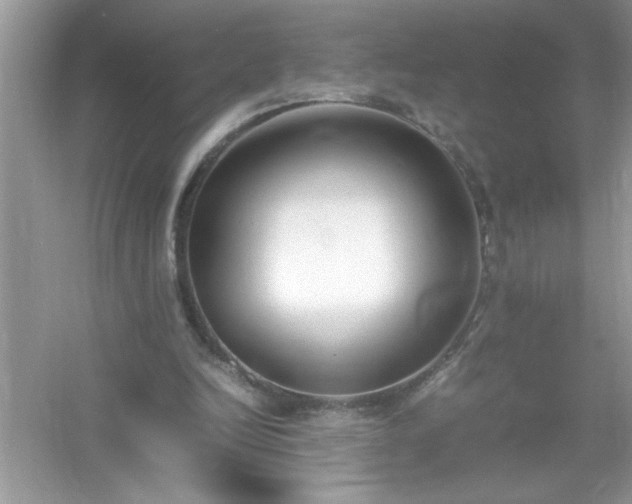 X0000054430246200508051840