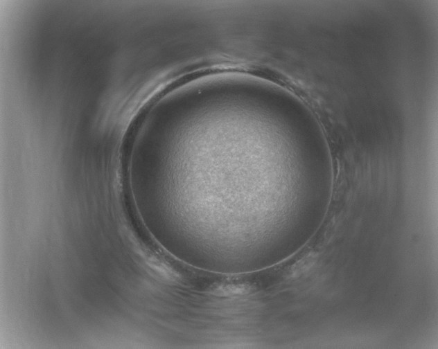 X0000054430247200508051840