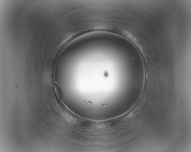 X0000054430249200508051840