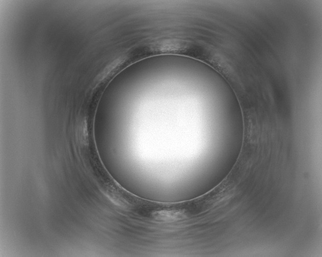 X0000054430251200508051840