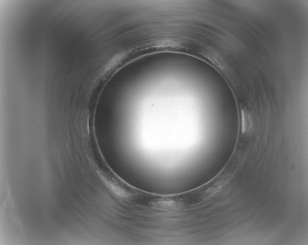 X0000054430253200508051840