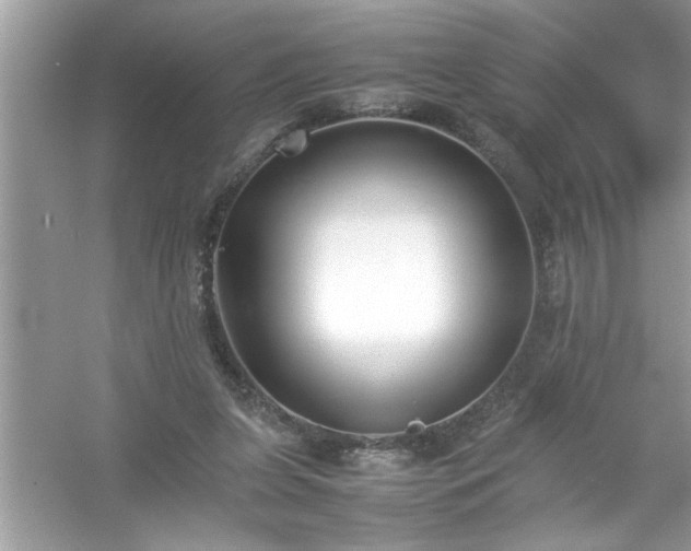 X0000054430255200508051840